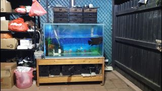 (Category: ) located in . Submitted by yongjinengineering (Listing ID 1397841490, Image 1). Description: .