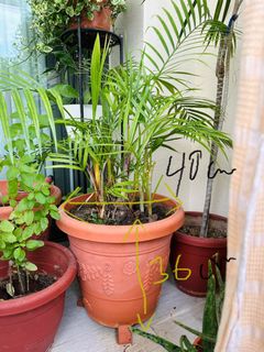 (Category: ) located in . Submitted by sant7 (Listing ID 1397808478, Image 1). Description: .
