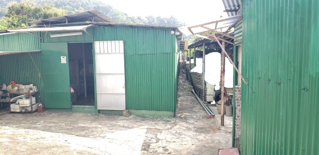 獨家 錦上路 政府路直達 有TS及上蓋之農地可入貨櫃車64076921529345111