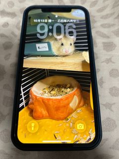 （分類：）位於 。 由 fanchengst 提交（商品編號 1398107751，圖片 1）。簡介： 。