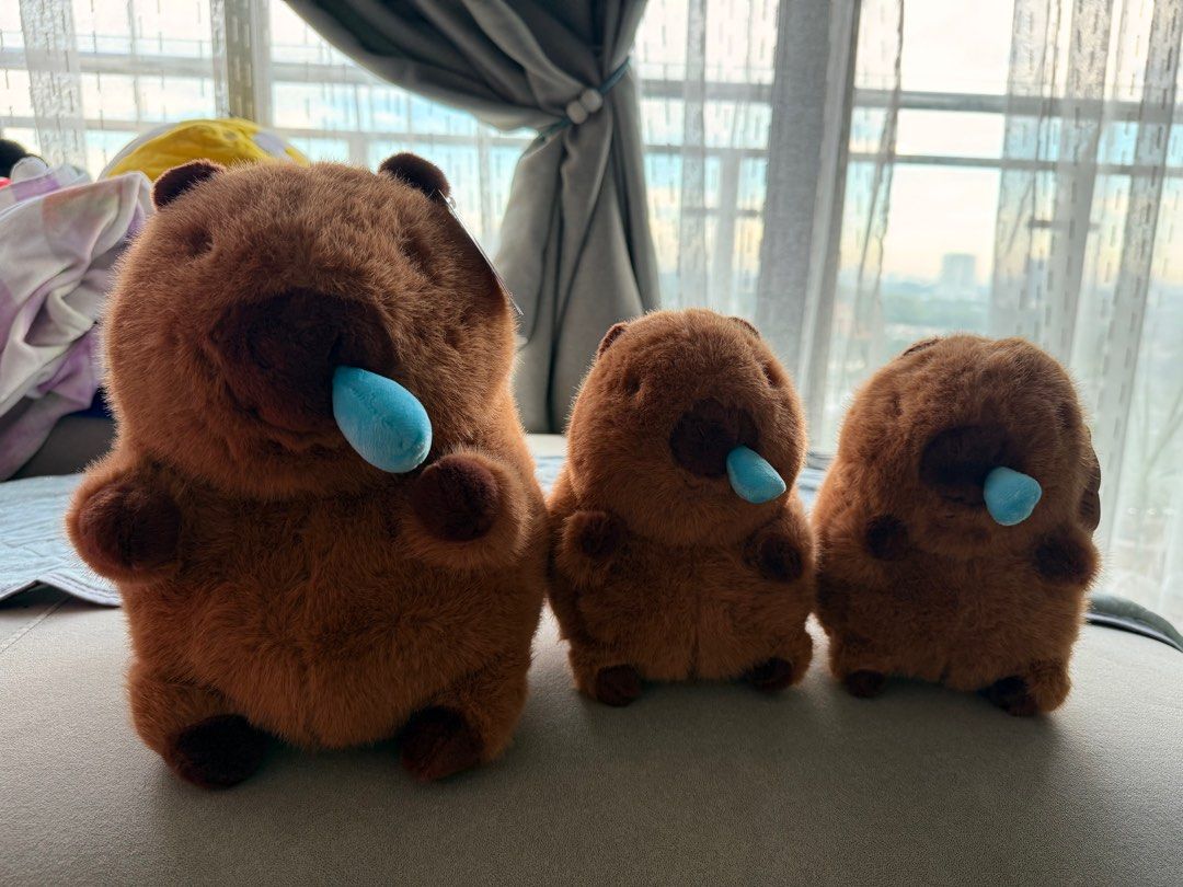 Authentic Capybara (Category: Plushies & Soft Toys) located in Seri Kembangan. Submitted by preloved_uniqueness (Listing ID 1398076702, Image 1). Description: Brand New Small - RM35 each Big - RM65 Comes with vibration from pulling the snorts.