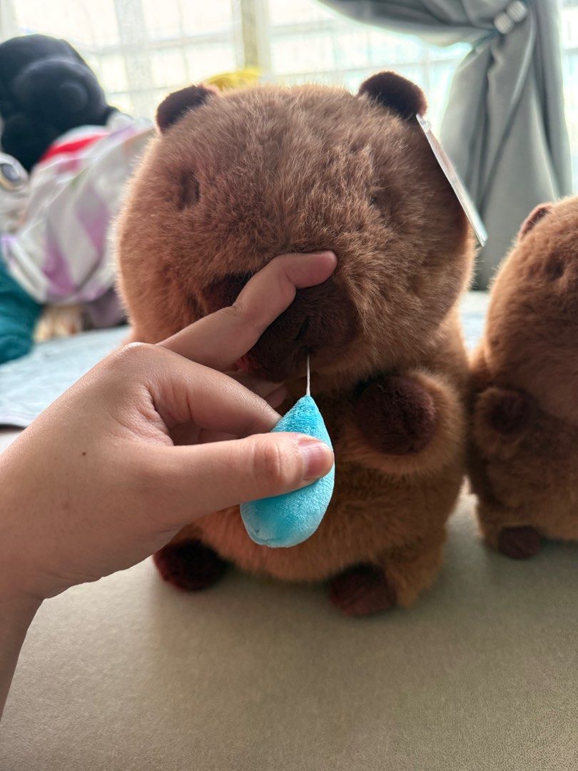 Authentic Capybara (Category: Plushies & Soft Toys) located in Seri Kembangan. Submitted by preloved_uniqueness (Listing ID 1398076702, Image 3). Description: Brand New Small - RM35 each Big - RM65 Comes with vibration from pulling the snorts.