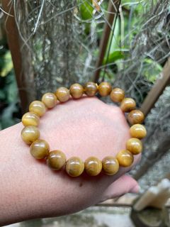 (Category: ) located in . Submitted by crystal_gem_world (Listing ID 1398021255, Image 1). Description: .