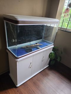 (Category: ) located in . Submitted by dban (Listing ID 1397990049, Image 1). Description: .