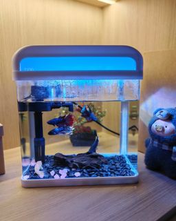 (Category: ) located in . Submitted by cenakoo (Listing ID 1398133567, Image 1). Description: .