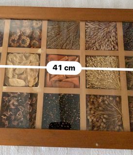 (Category: ) located in . Submitted by mamachoo02 (Listing ID 1398100071, Image 1). Description: .