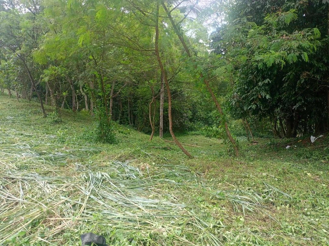 Anti001 (Category: Lot) located in Makati City. Submitted by teresageronimo (Listing ID 1398170474, Image 3). Description: Residential and golf estate Cupang Antipolo city Gated subd with security services vacant lot 596 sqm.