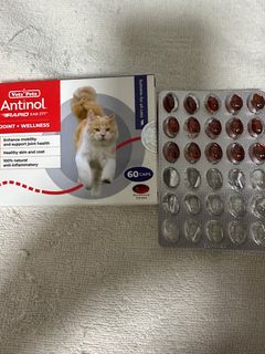 （分類：）位於 。 由 kittyleung2018 提交（商品編號 1398296861，圖片 1）。簡介： 。