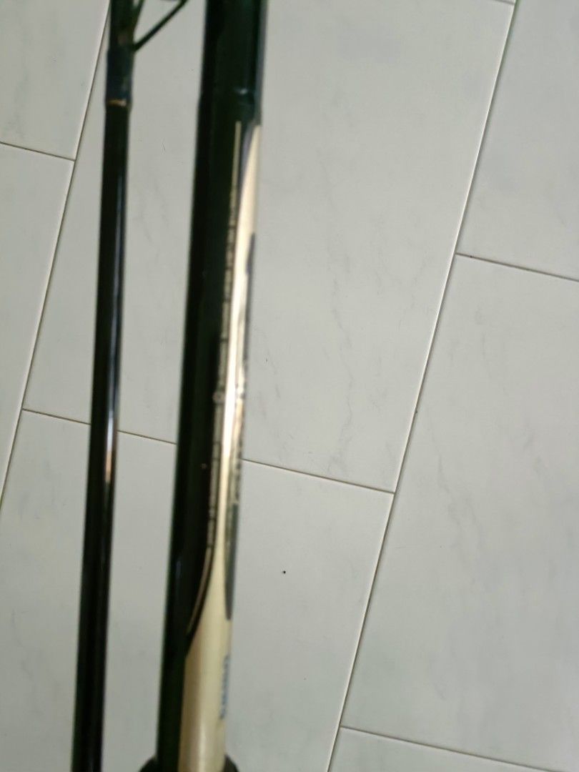 Daiwa Apollo Fishing Rod, Sports Equipment, Fishing on Carousell