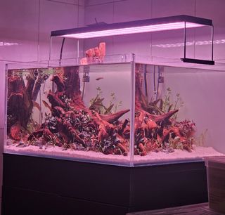 (Category: ) located in . Submitted by linggg11 (Listing ID 1398281384, Image 1). Description: .
