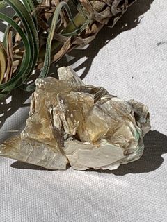 花形金雲母 (Gold Lepidolite)64194030891651110