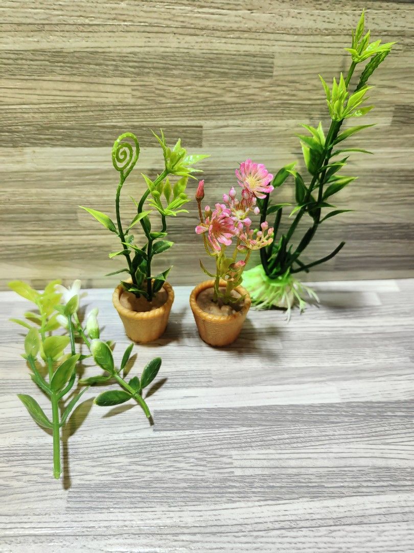 SF scale plants set (Category: Plants & Seeds) located in Quezon City. Submitted by silverturtle_32df92 (Listing ID 1398314140, Image 2). Description: SF scale plants set *pots are both original SF *in good condition *actual photos posted, what you see is what you get *no original box *DM for inquiries *Location: QC *Mode of payment: Gcash, BPI *Shipping courier: J&T, Lalamove.