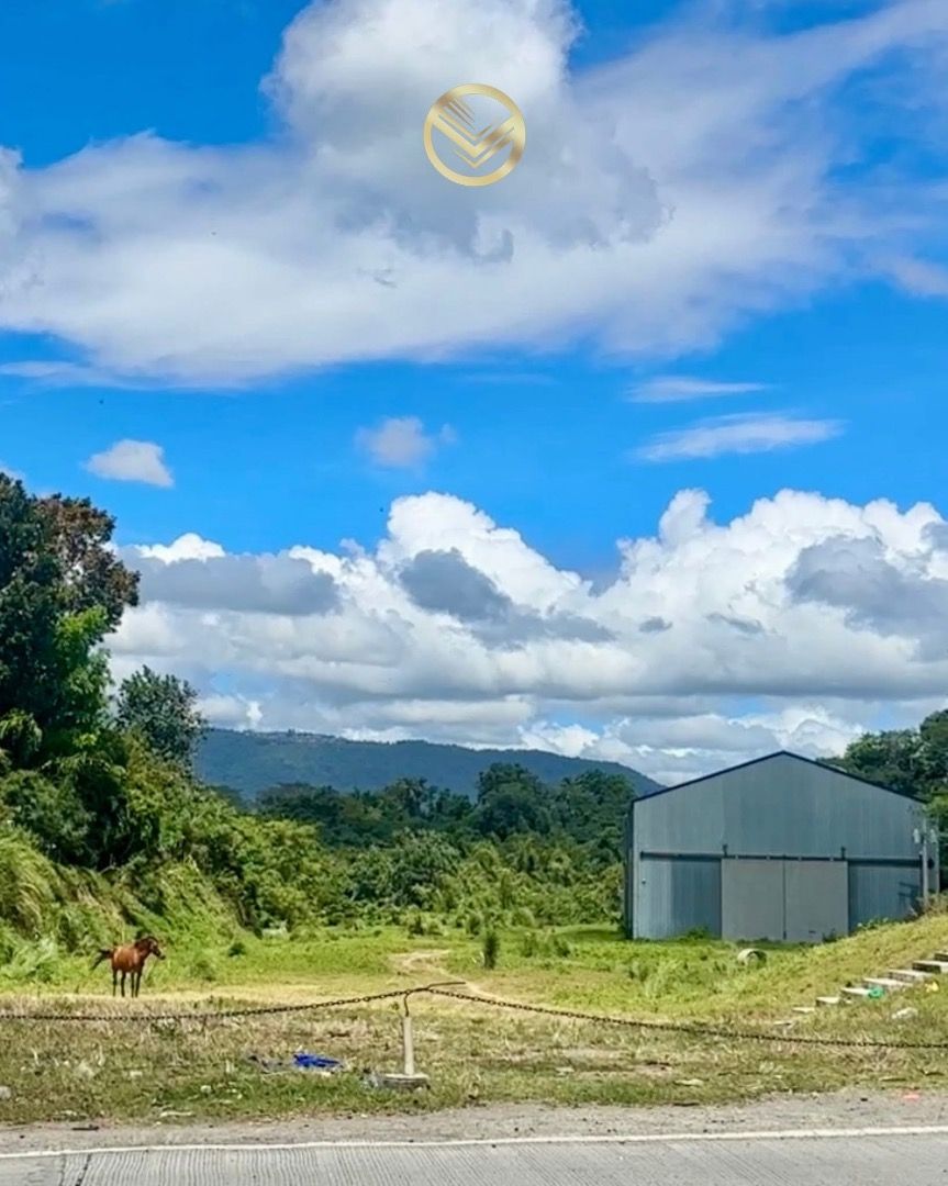 Talisay-Tanauan Road Warehouse and Office with Large Land -- For Sale ...