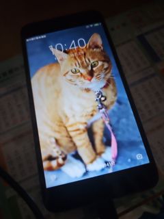 （分類：）位於 。 由 masakiando731 提交（商品編號 1398364560，圖片 1）。簡介： 。