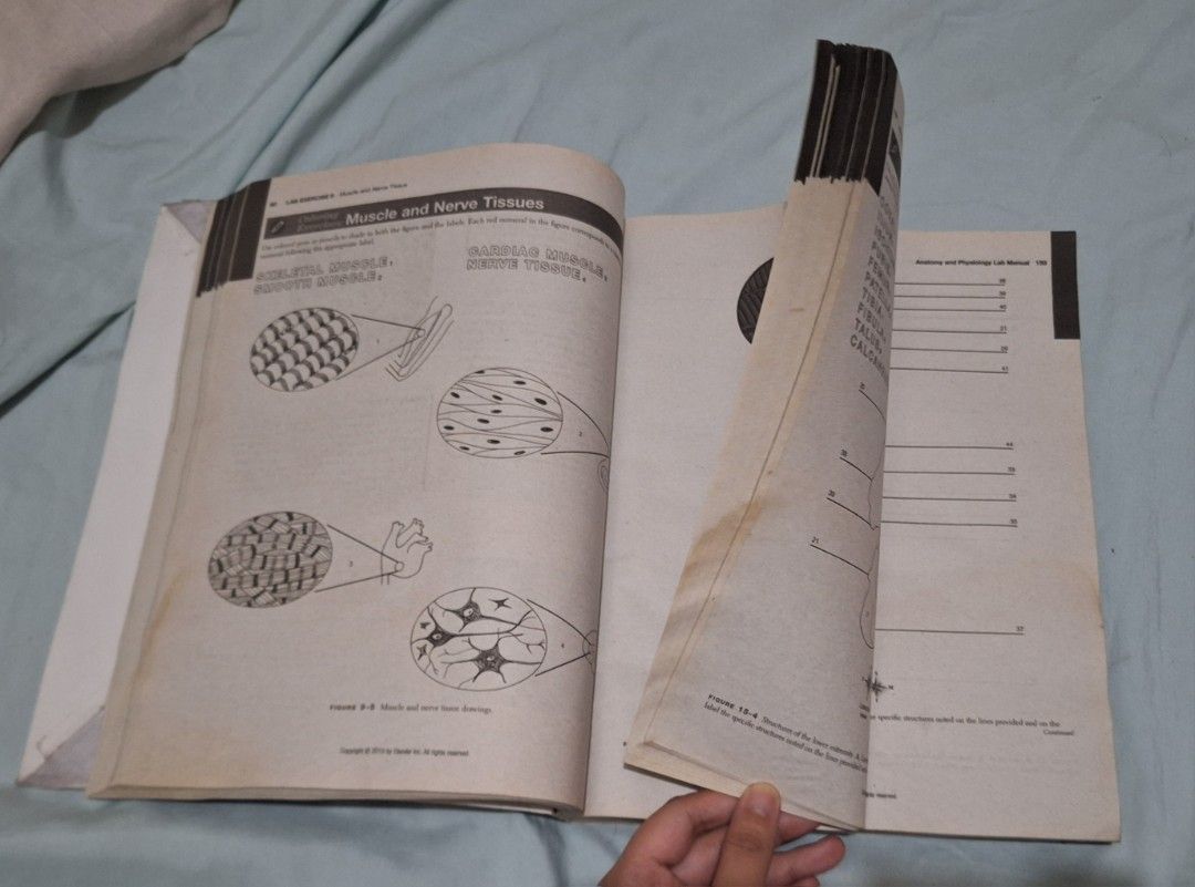 Anatomy & Physiology Laboratory Manual - Tenth Edition (Category: Textbooks) located in Quezon City. Submitted by hanee.jdeclutter (Listing ID 1398445453, Image 2). Description: - Issue: Nabasa yung edge part, but not smudged - RFS: Already passed the course - Anatomy & Physiology Laboratory Manual, Tenth Edition - By Kevin T. Patton - Features illustrations of muscle and nerve tissues .