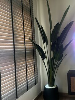(Category: ) located in . Submitted by dhzlee (Listing ID 1398402824, Image 1). Description: .