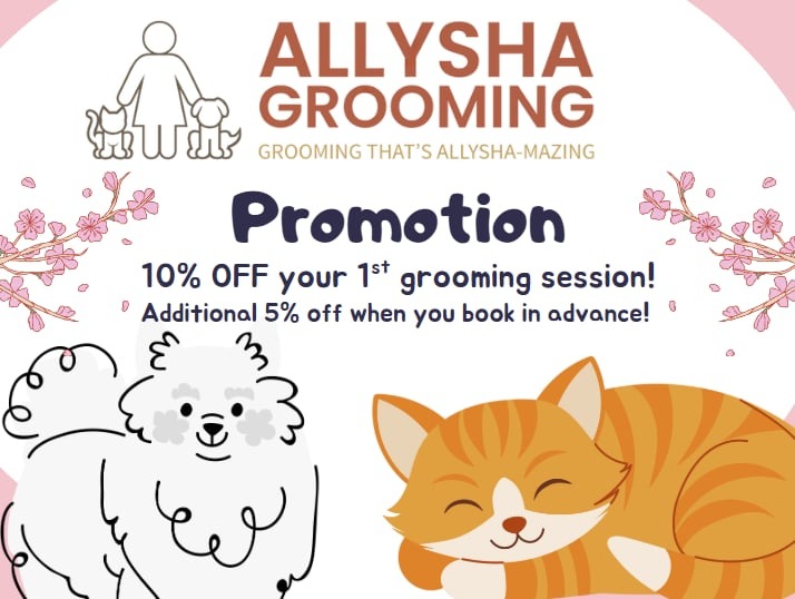 Grooming Services 1st Place Dog Grooming Salon Pet Salon Menu - Main Image