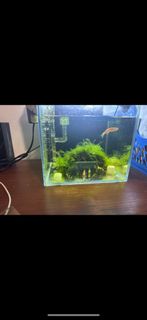 (Category: ) located in . Submitted by mzhai (Listing ID 1398353037, Image 1). Description: .