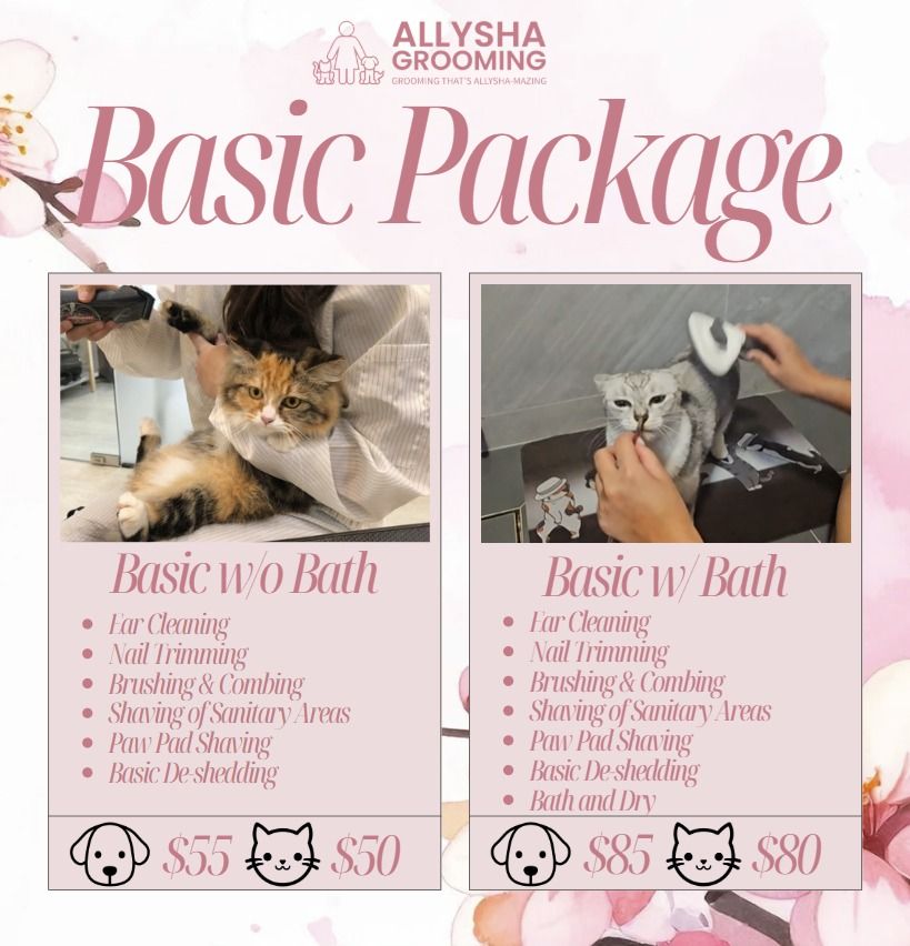 Mobile House Call Pet Grooming Dog Groomer Cat Groomer Pet