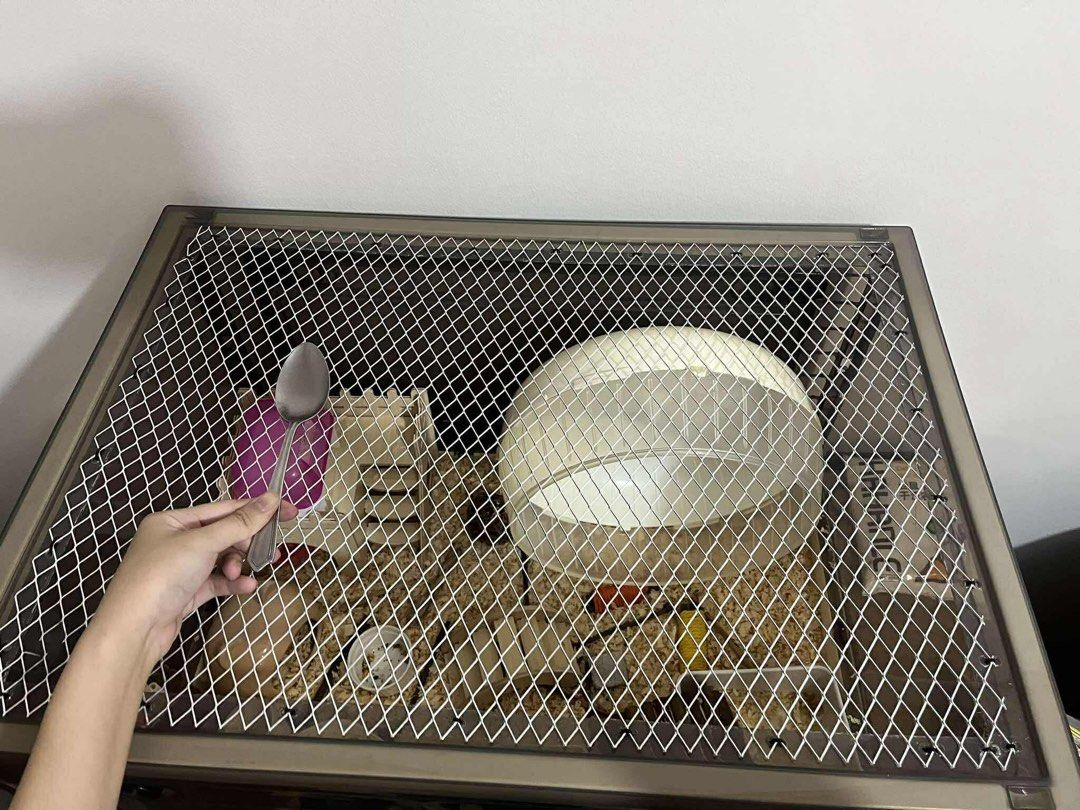 Oven Type Hamster Bin Cage (Category: Homes & Other Pet Accessories) located in Taguig. Submitted by hedgecrafter (Listing ID 1398638815, Image 2). Description: Oven Type Bin Cage Large - 115 liters 67x46x38cm - galvanized steel mesh top di nag rurust - brand new - location: Taguig or Dasma - 1100 cage only.