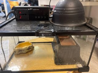 （分類：）位於 。 由 Mo_tt 提交（商品編號 1398657576，圖片 1）。簡介： 。