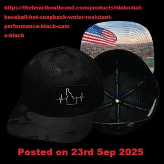 美牌 The Heartbeat Brand Cap 64187222941953110