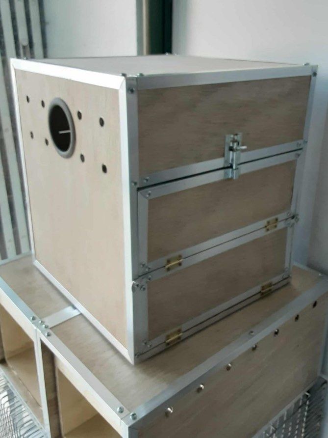 Bird Box (for Cockatiel) - FOR CUSTOM ORDERS! (Category: Homes & Other Pet Accessories) located in Manila. Submitted by denclutters (Listing ID 1398822894, Image 1). Description: —STARTS AT 350 —material: LOCAL MARINE PLYWOOD 📍: molino, bacoor, cavite 📦: sdd/pick-up send a message to order! :) tags: homes, house, birds, pet, pets, birdbox, nestbox, nest, nest box, wood, wooden, kahoy, metal, steel, hinge, custom, custom-made, customized, person