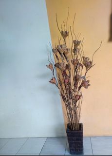(Kategori: ) berada di . Dikirim oleh fe.randomthingz (ID iklan 1398849876, Gambar 1). Deskripsi: .