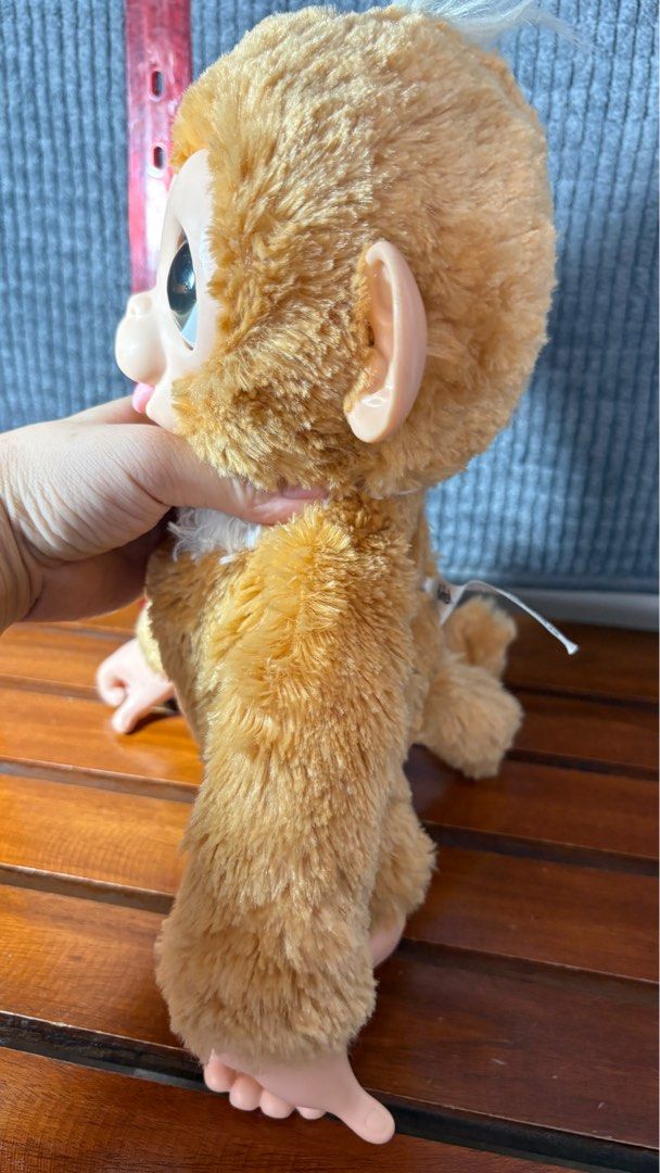 Furreal monkey hasbro (Category: Interactive Toys) located in Echague. Submitted by tentenheartph (Listing ID 1398780931, Image 2). Description: Preloved from canada wysiwyg good working condition with battery cover clean battery area no other accessories please manage your expectations buy at your own risk .