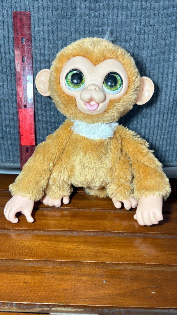 Furreal monkey hasbro (Category: Interactive Toys) located in Echague. Submitted by tentenheartph (Listing ID 1398780931, Image 1). Description: Preloved from canada wysiwyg good working condition with battery cover clean battery area no other accessories please manage your expectations buy at your own risk .