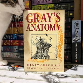 (Category: ) located in . Submitted by hazebooksdeclutter (Listing ID 1398796633, Image 1). Description: .