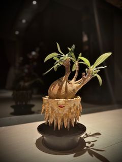 （分類：）位於 。 由 oliviaw1218 提交（商品編號 1393416236，圖片 1）。簡介： 。