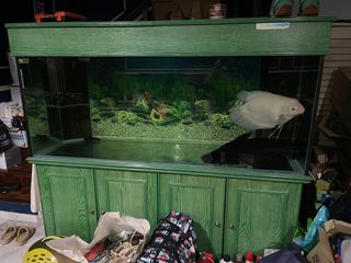 (Category: ) located in . Submitted by magoro (Listing ID 1399037682, Image 1). Description: .