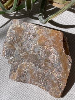 黑金骨幹原石(Black Sun Stone )64194030901634110