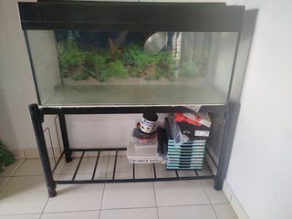 (Category: ) located in . Submitted by marniadibah (Listing ID 1398884273, Image 1). Description: .
