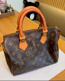 LV Speedy 25 Bag
