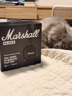 (Category: ) located in . Submitted by vinylpawsph (Listing ID 1399032495, Image 1). Description: .