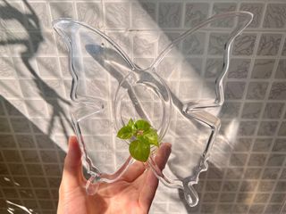 （分類：）位於 。 由 Mars_ 提交（商品編號 1390881627，圖片 1）。簡介： 。