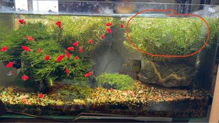 （分類：）位於 。 由 szewws 提交（商品編號 1399131678，圖片 1）。簡介： 。
