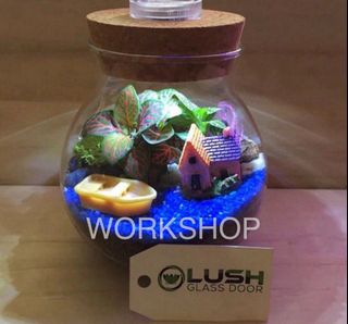 (Category: ) located in . Submitted by lushglassdoor (Listing ID 1399179053, Image 1). Description: .