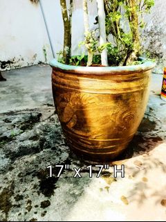 (Category: ) located in . Submitted by minhteh (Listing ID 1392509880, Image 1). Description: .