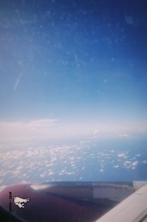 由 melon0727 (刊登 ID 1399177111，圖片 1) 提交，位於 的 (類別：)，說明：。