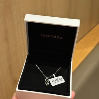 🌟品質保障🌟Pandora 潘多拉無限珍愛鎖骨鍊項鍊64220532064257110