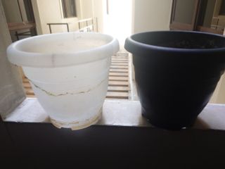 (Category: ) located in . Submitted by n.stemre (Listing ID 1399059935, Image 1). Description: .