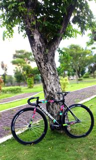 Sepeda fixi Dijual | Beli 100+ Sepeda fixi online | Carousell Indonesia