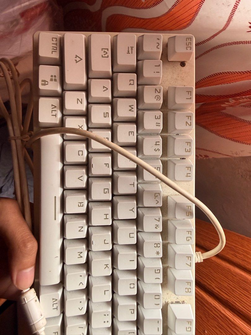 Wired Keyboard (Defective, for keycaps) (Category: Computer Keyboard) located in Pasig City. Submitted by jjj_26 (Listing ID 1399106327, Image 2). Description: Wired White keyboard Has RGB lights when still working Can use for keycaps if ever Open for meet up or delivery Thank you!.