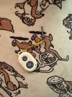 Wireless Camera Remote
