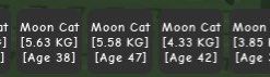 8x Moon Cat Cheap Grow a Garden (Category: In-Game Products) located in Las Pinas. Submitted by charlsssb (Listing ID 1396056593, Image 1). Description: Grow a Garden 8x moon cat For only ₱80 Dm for inquiries .