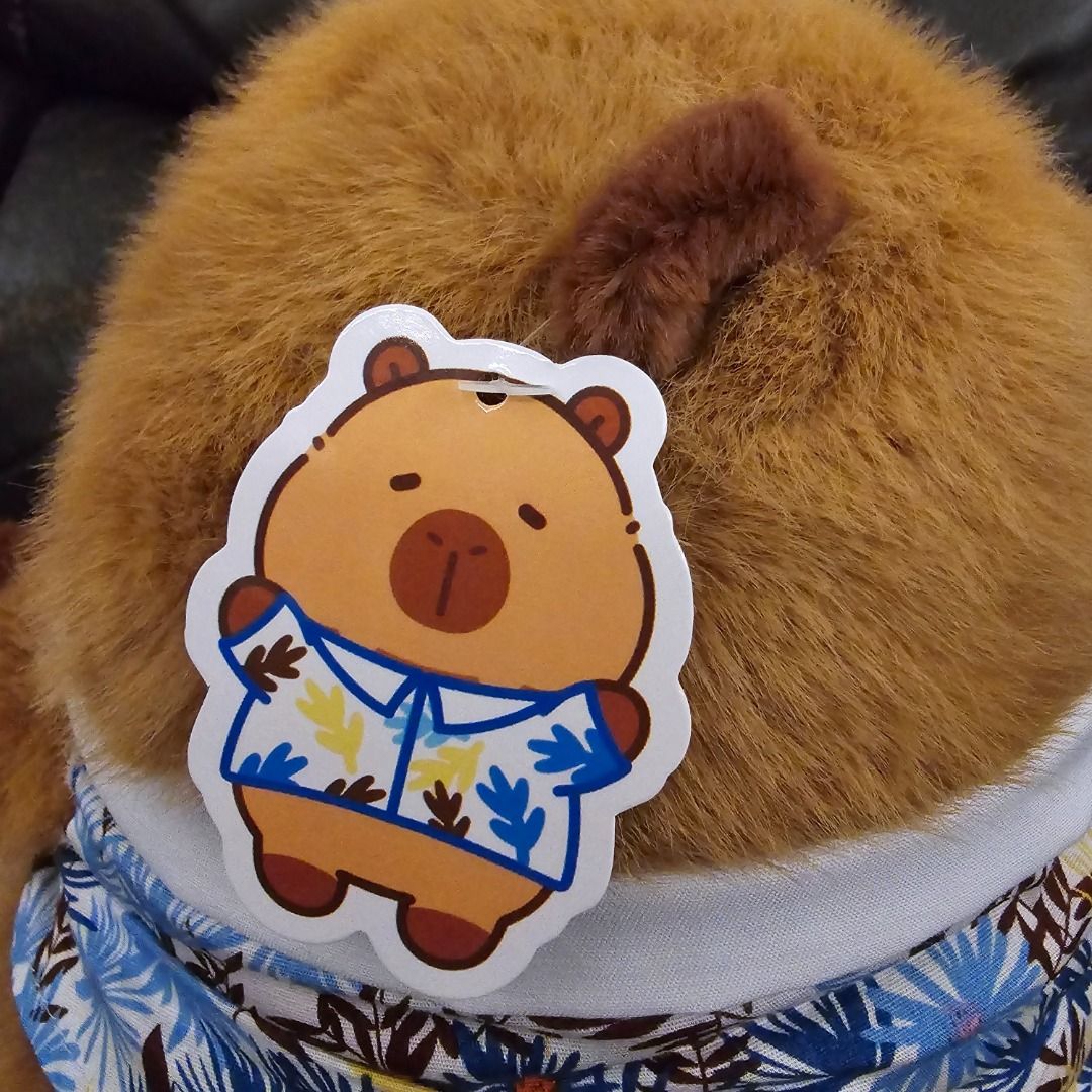 夾公仔 領養 全新 精品 Oringinal Official Merchandise 正版 週邊 收藏 多角色 經典角色 Classic ...