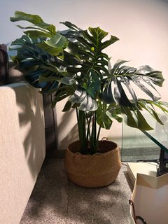 (Category: ) located in . Submitted by alexchoy11 (Listing ID 1396036574, Image 1). Description: .